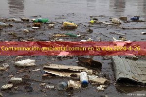 Contaminación ambiental común en la vida