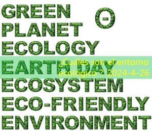 ¿Cuáles son el entorno ecológico？